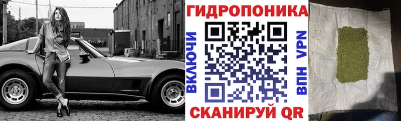 Цена Кодинск Канабис  Alpha PVP  ГАШ  Галлюциногенные грибы  Меф мяу мяу 