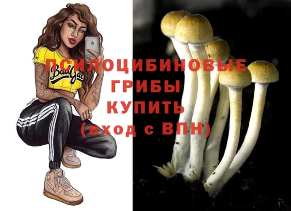 ешки Покров