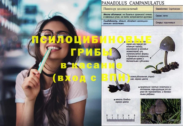 экстази Покачи