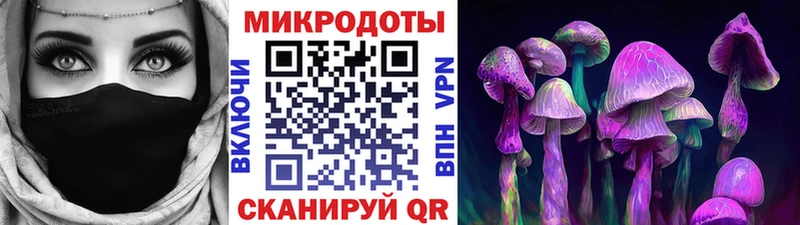 где можно купить наркотик Кодинск Псилоцибиновые грибы мицелий